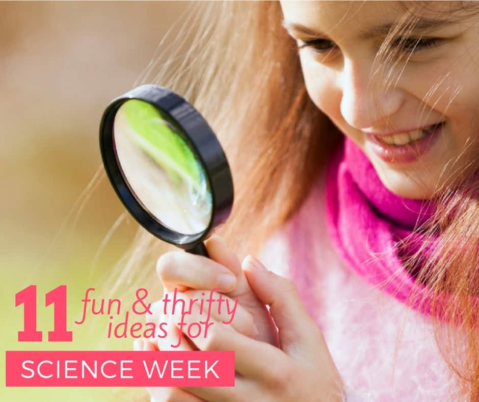 science week homework ideas